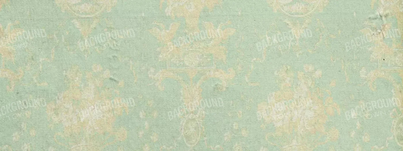 Vintage Mint 20X8 Ultracloth ( 240 X 96 Inch ) Backdrop