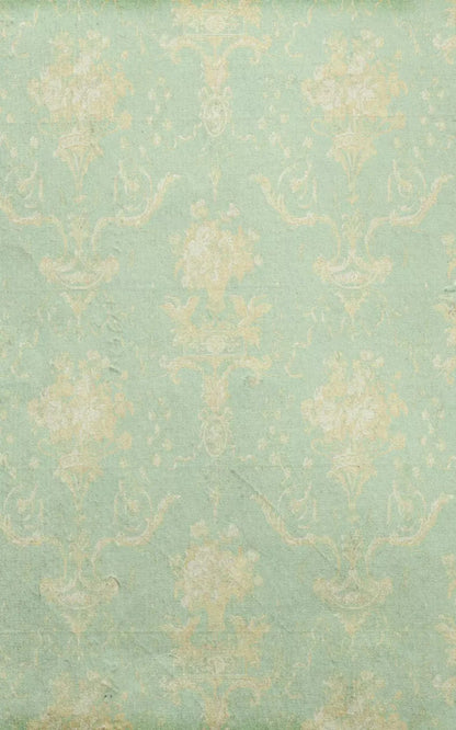 Vintage Mint 9X14 Ultracloth ( 108 X 168 Inch ) Backdrop