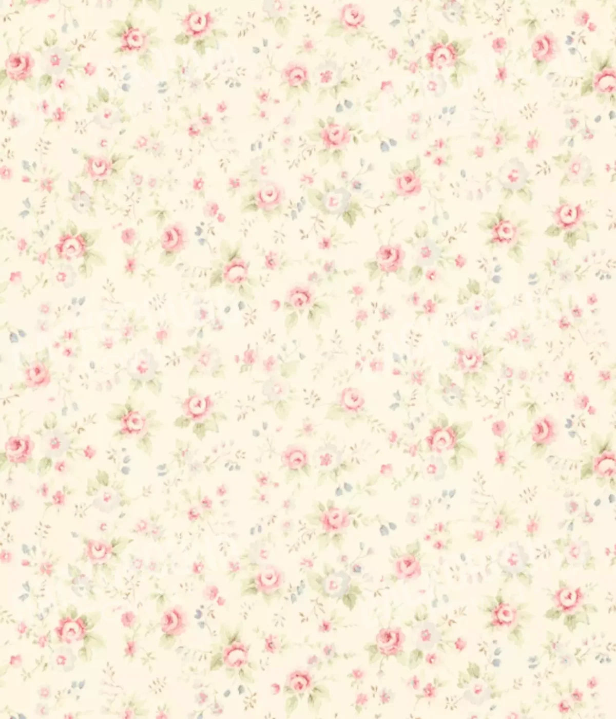 Vintage Rosie Cream 10’X12’ Ultracloth (120 X 144 Inch) Backdrop
