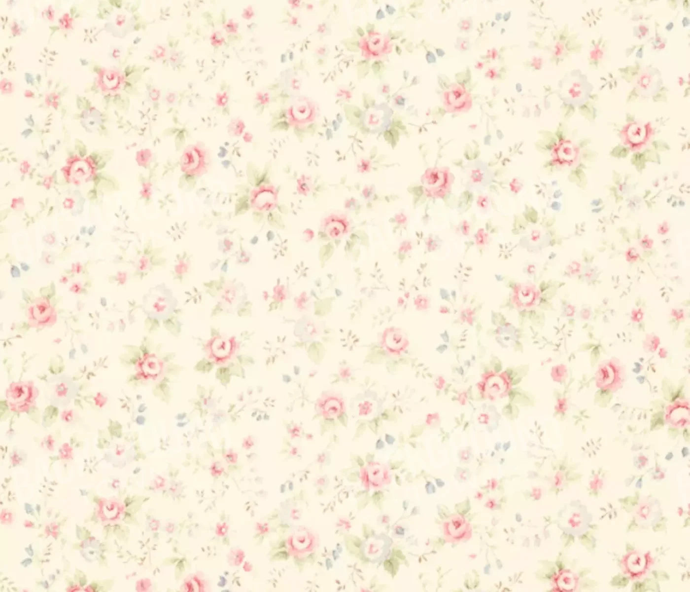 Vintage Rosie Cream 12’X10’ Ultracloth (144 X 120 Inch) Backdrop