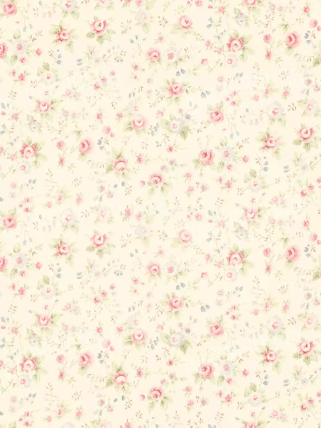 Vintage Rosie Cream 5’X6’8’ Fleece (60 X 80 Inch) Backdrop