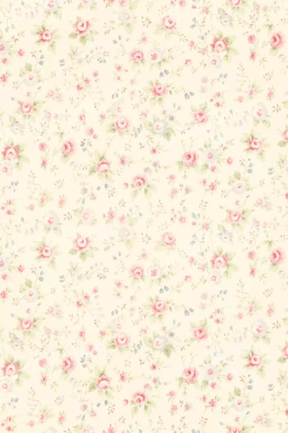 Vintage Rosie Cream 5’X8’ Ultracloth (60 X 96 Inch) Backdrop