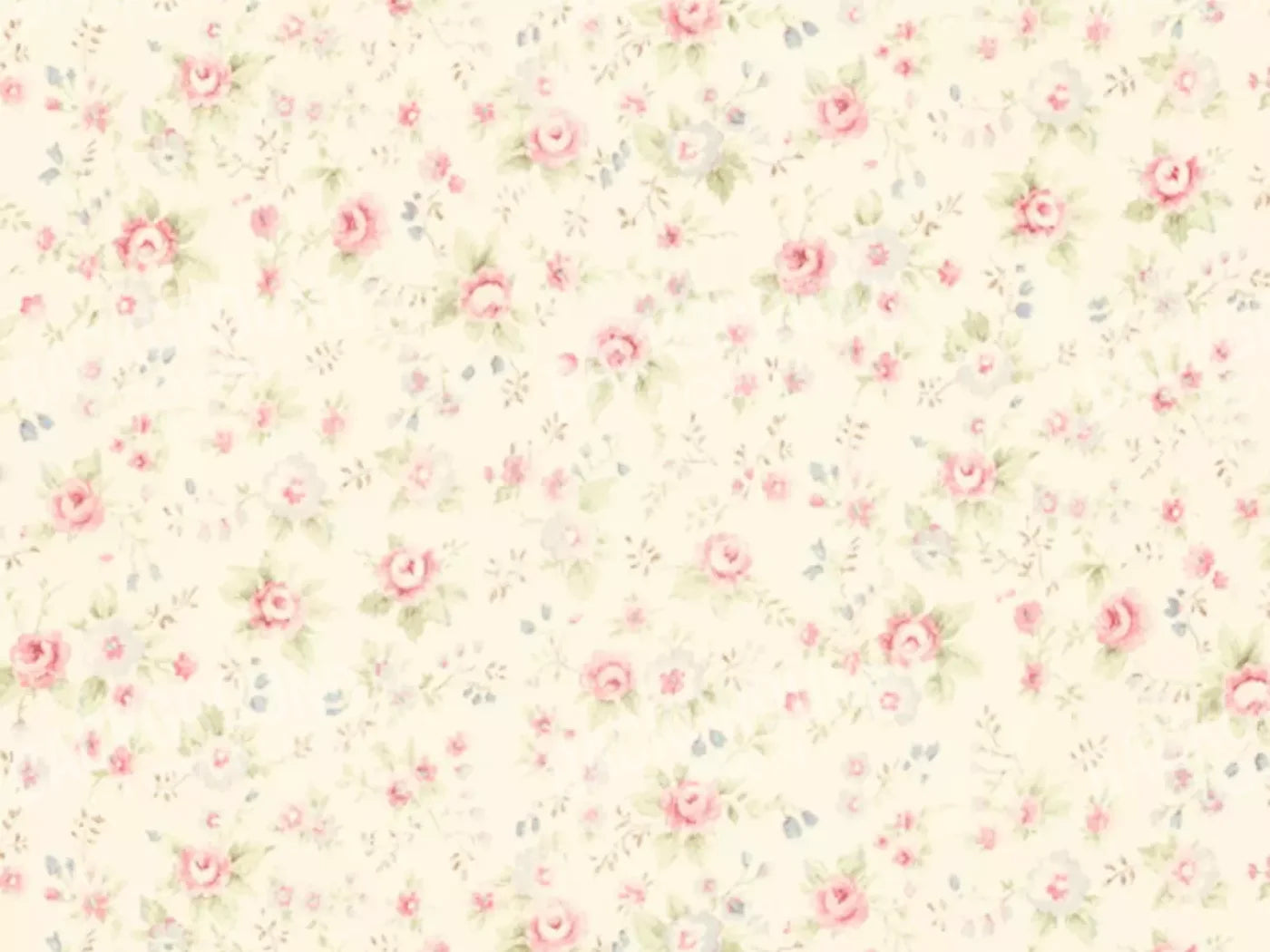 Vintage Rosie Cream 6’8’X5’ Fleece (80 X 60 Inch) Backdrop