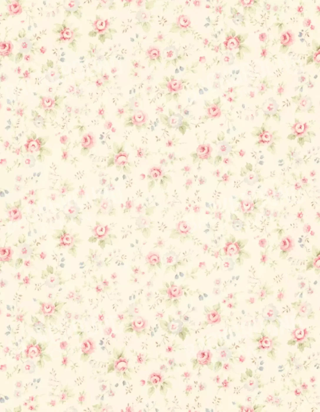 Vintage Rosie Cream 6’X8’ Fleece (72 X 96 Inch) Backdrop