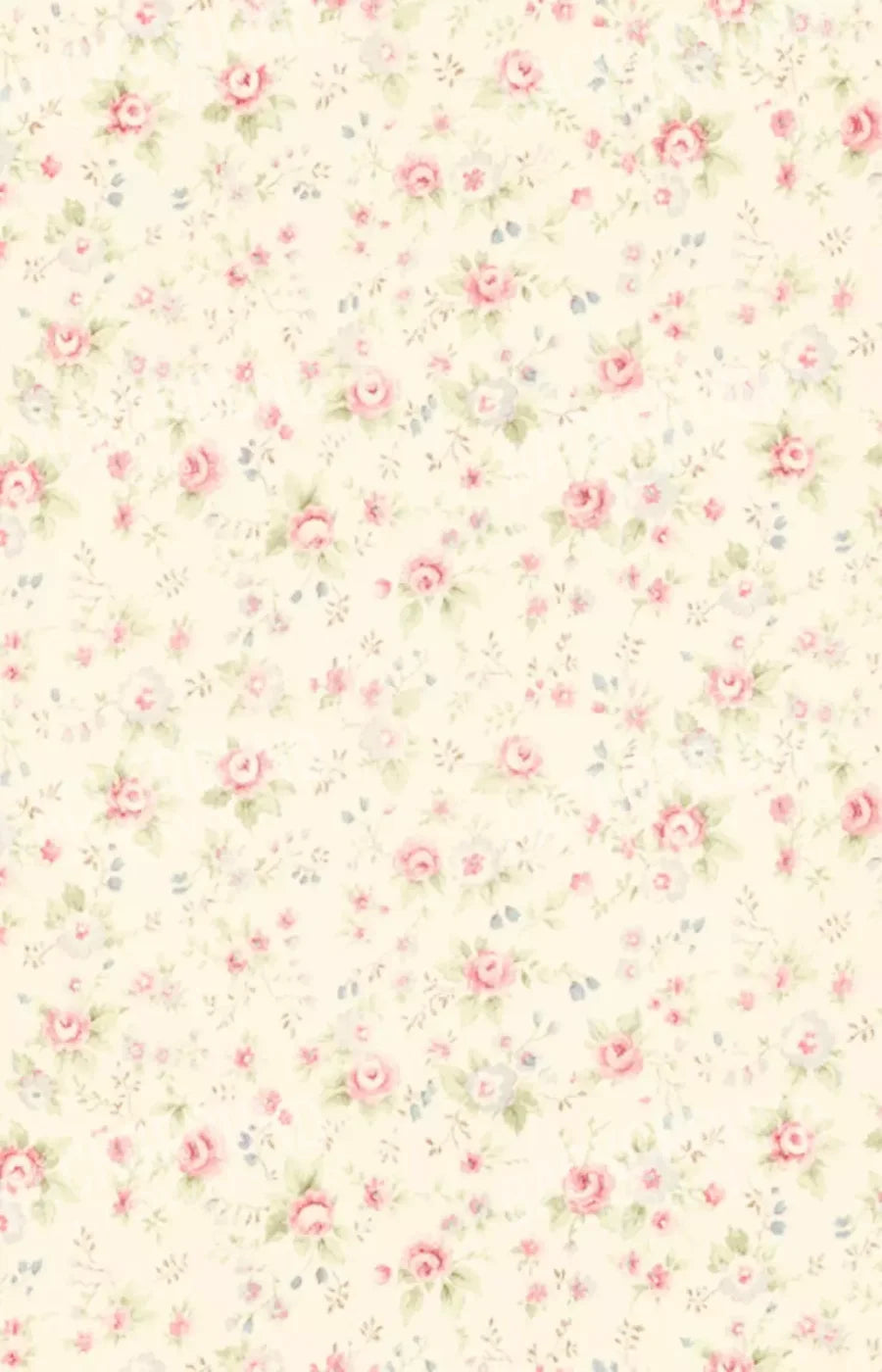 Vintage Rosie Cream 8’X12’ Ultracloth (96 X 144 Inch) Backdrop