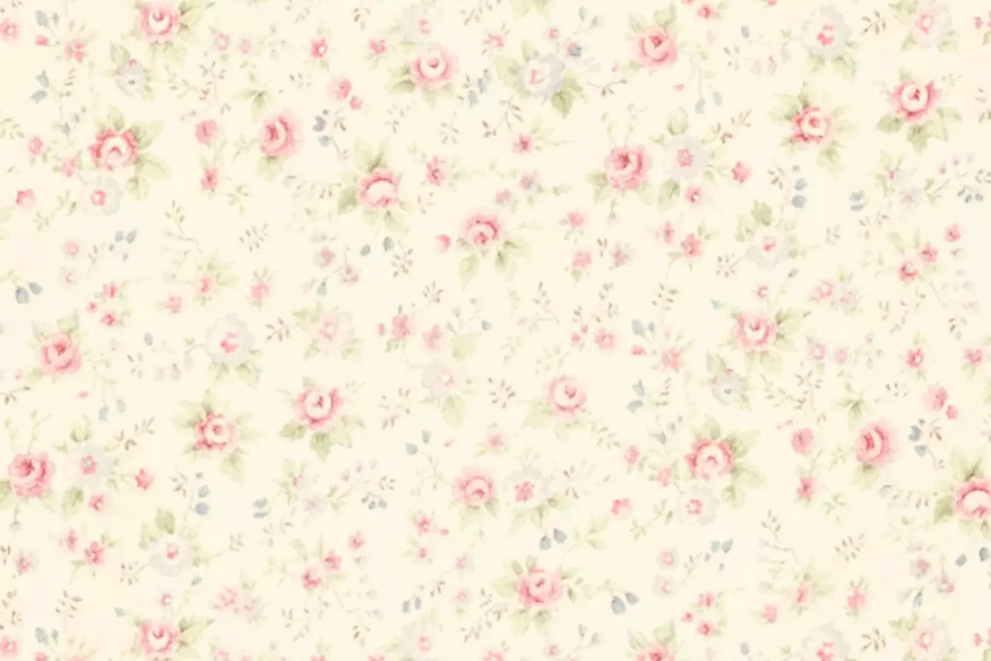 Vintage Rosie Cream Backdrop