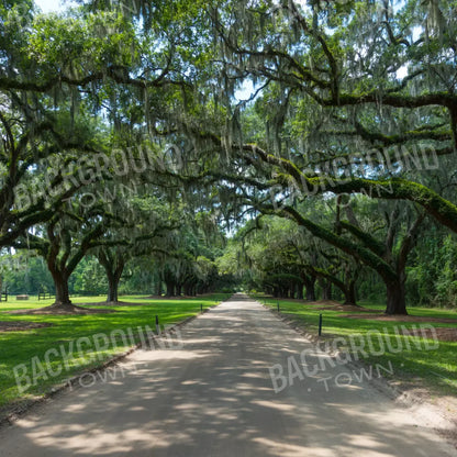 Vintage View 1 10X10 Ultracloth ( 120 X Inch ) Backdrop