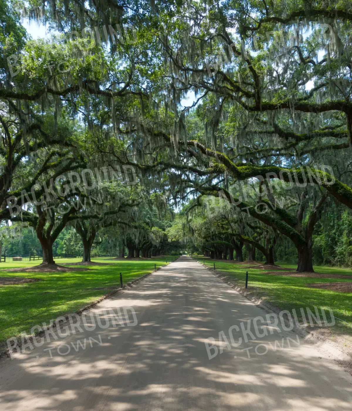 Vintage View 1 10X12 Ultracloth ( 120 X 144 Inch ) Backdrop