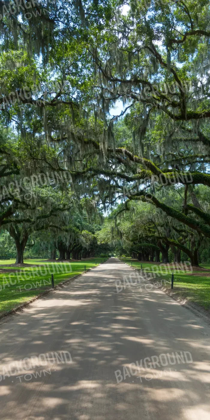 Vintage View 1 10X20 Ultracloth ( 120 X 240 Inch ) Backdrop