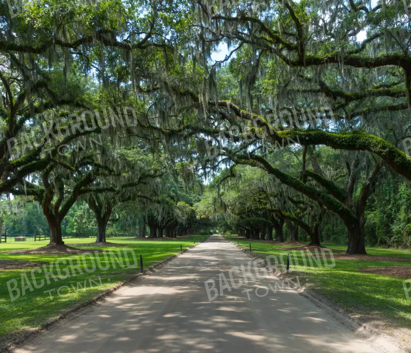 Vintage View 1 12X10 Ultracloth ( 144 X 120 Inch ) Backdrop