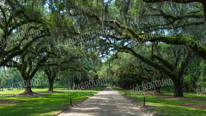 Vintage View 1 14X8 Ultracloth ( 168 X 96 Inch ) Backdrop