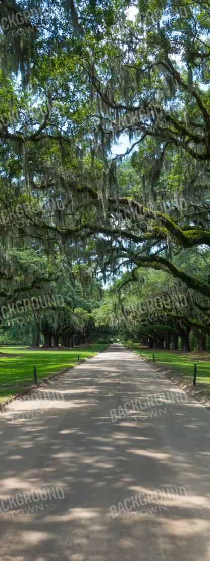 Vintage View 1 8X20 Ultracloth ( 96 X 240 Inch ) Backdrop