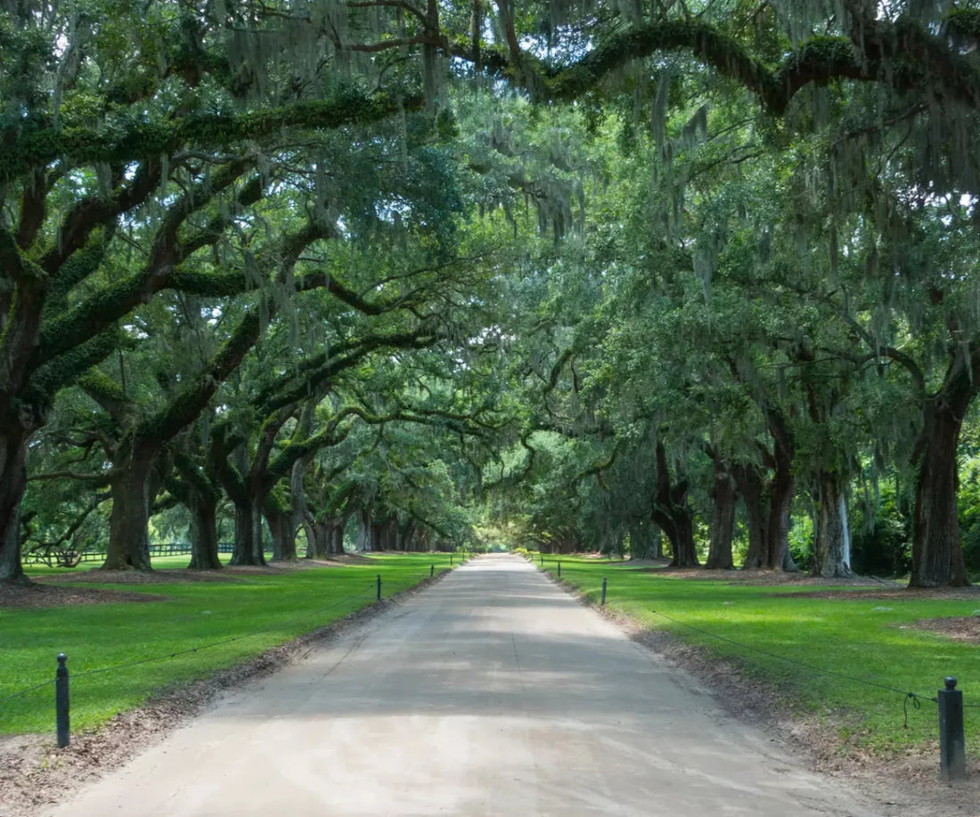 Vintage View 2 5X42 Fleece ( 60 X 50 Inch ) Backdrop