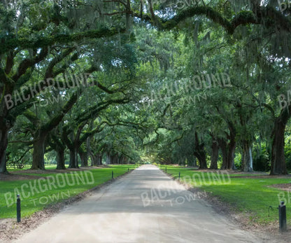 Vintage View 2 5X42 Fleece ( 60 X 50 Inch ) Backdrop