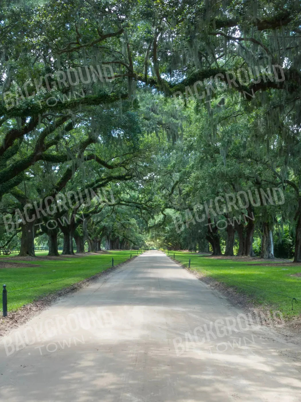 Vintage View 2 8X10 Fleece ( 96 X 120 Inch ) Backdrop