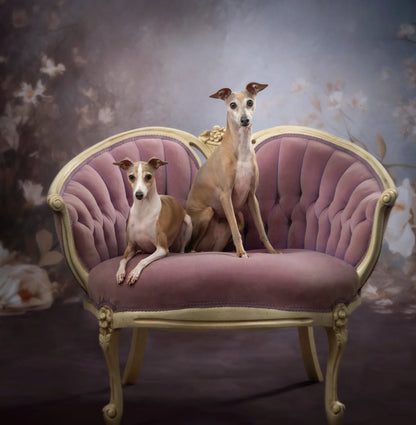 Vintage White Roses Backdrop