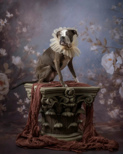 Vintage White Roses Backdrop