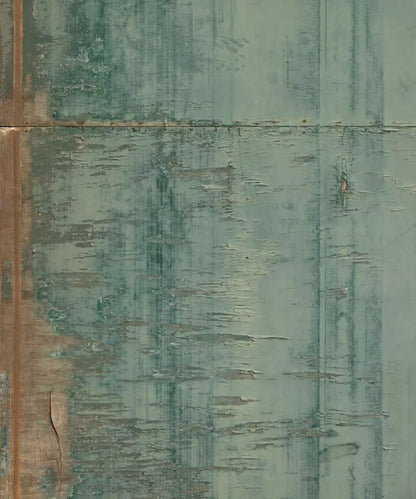 Green  Backdrop for Photography