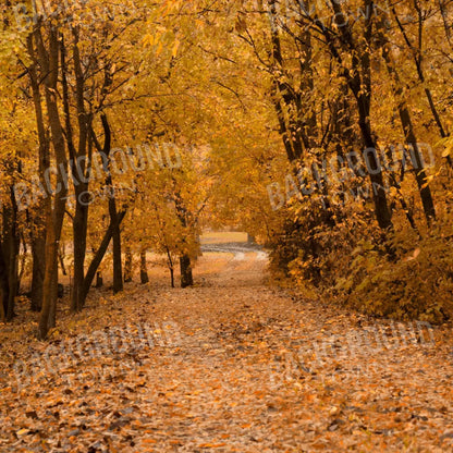 Walking In Fall 10’X10’ Ultracloth (120 X Inch) Backdrop