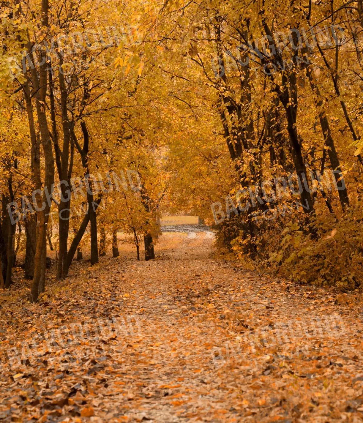 Walking In Fall 10’X12’ Ultracloth (120 X 144 Inch) Backdrop