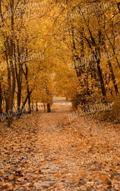 Walking In Fall 10’X16’ Ultracloth (120 X 192 Inch) Backdrop