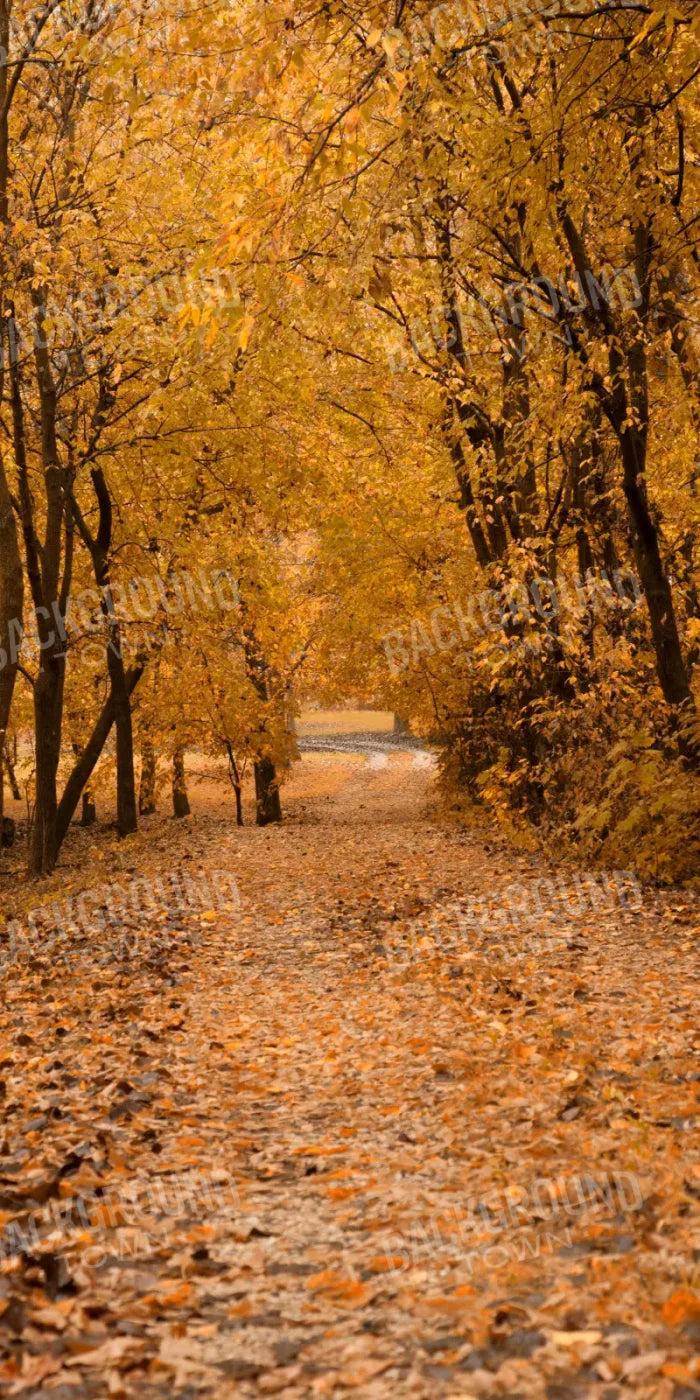 Walking In Fall 10’X20’ Ultracloth (120 X 240 Inch) Backdrop