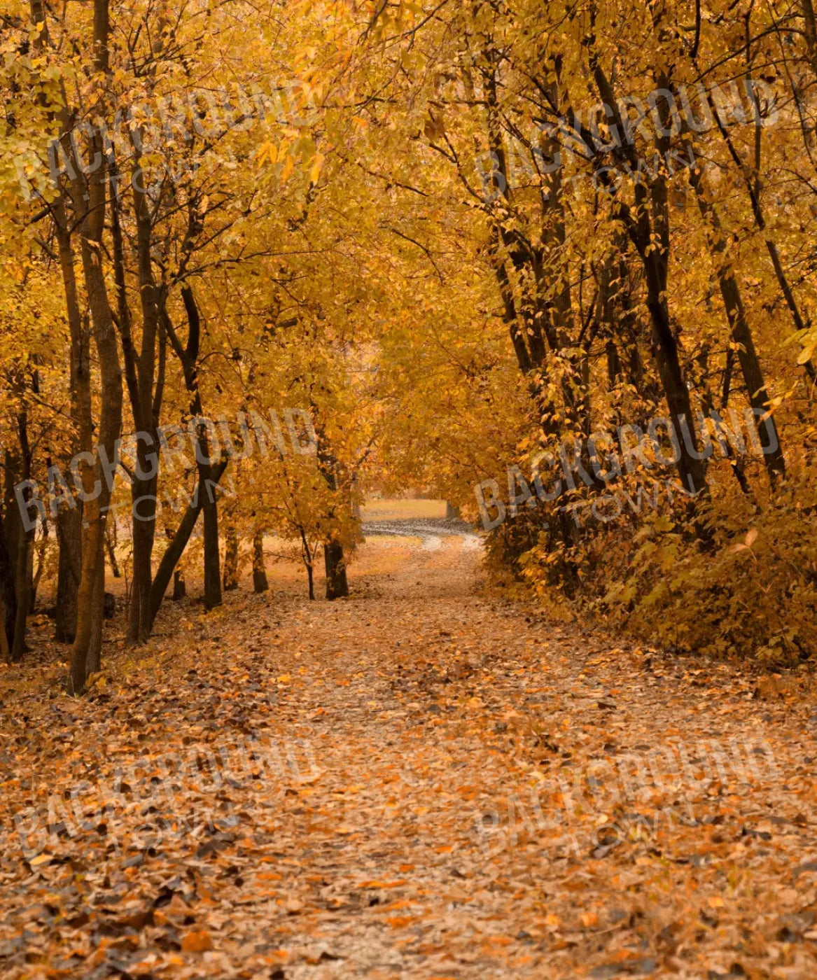 Orange Autumn Backdrop for Photography