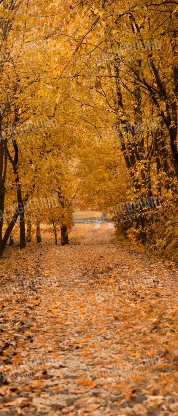 Walking In Fall 5’X12’ Ultracloth For Westcott X-Drop (60 X 144 Inch) Backdrop