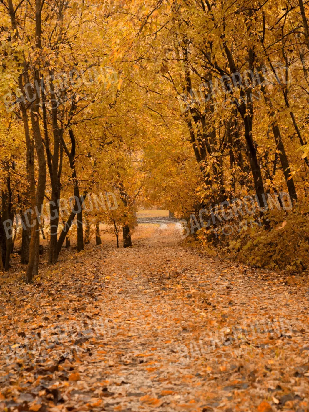 Walking In Fall 5’X6’8’’ Fleece (60 X 80 Inch) Backdrop