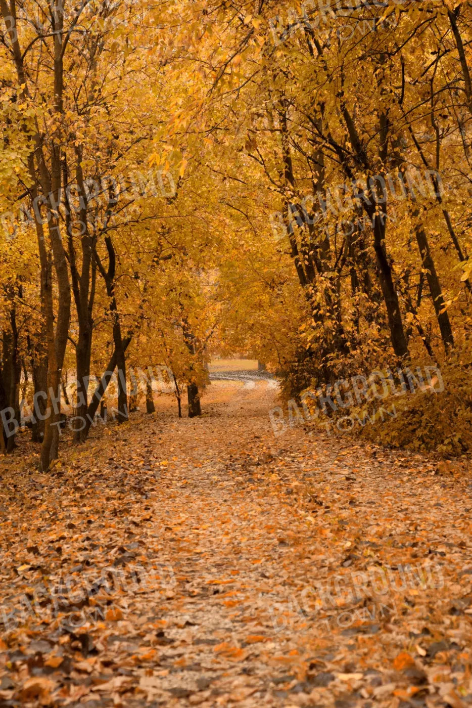 Walking In Fall 5’X8’ Ultracloth (60 X 96 Inch) Backdrop