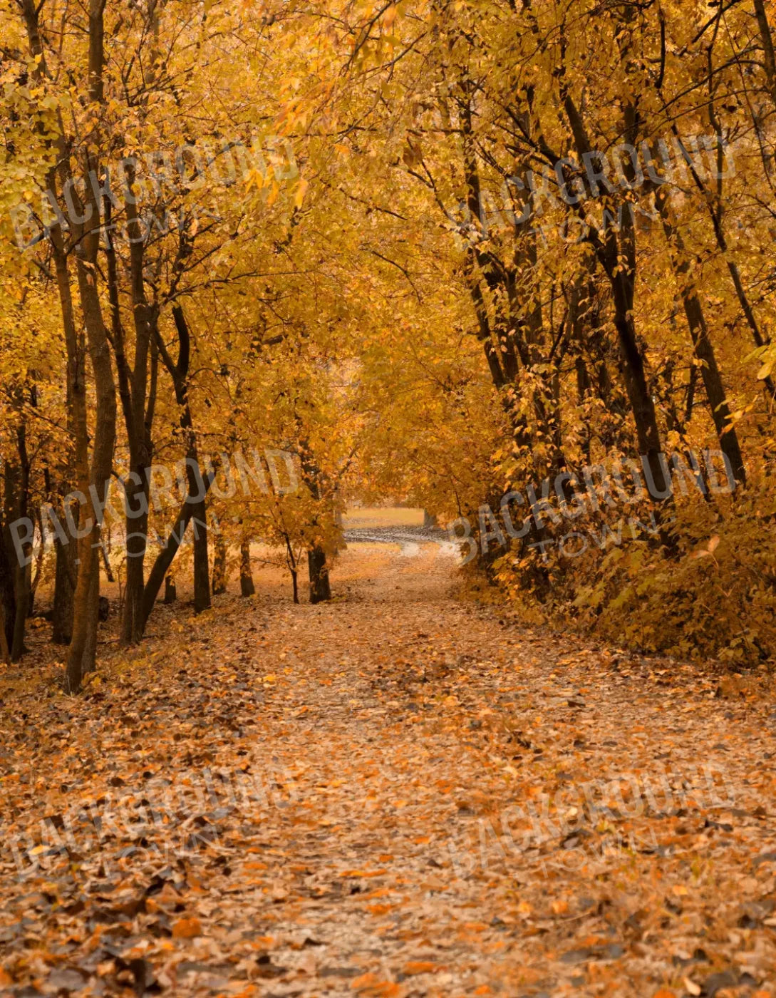 Walking In Fall 6’X8’ Fleece (72 X 96 Inch) Backdrop