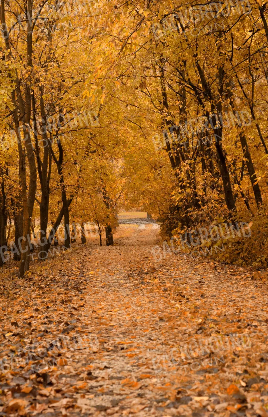 Walking In Fall 8’X12’ Ultracloth (96 X 144 Inch) Backdrop