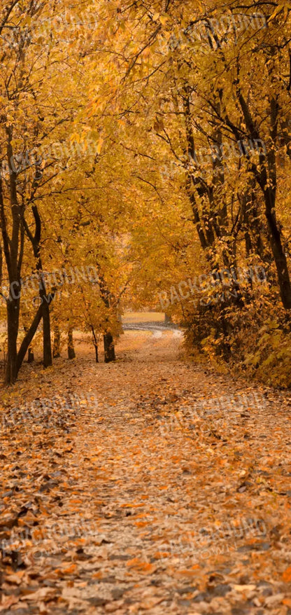 Walking In Fall 8’X16’ Ultracloth (96 X 192 Inch) Backdrop