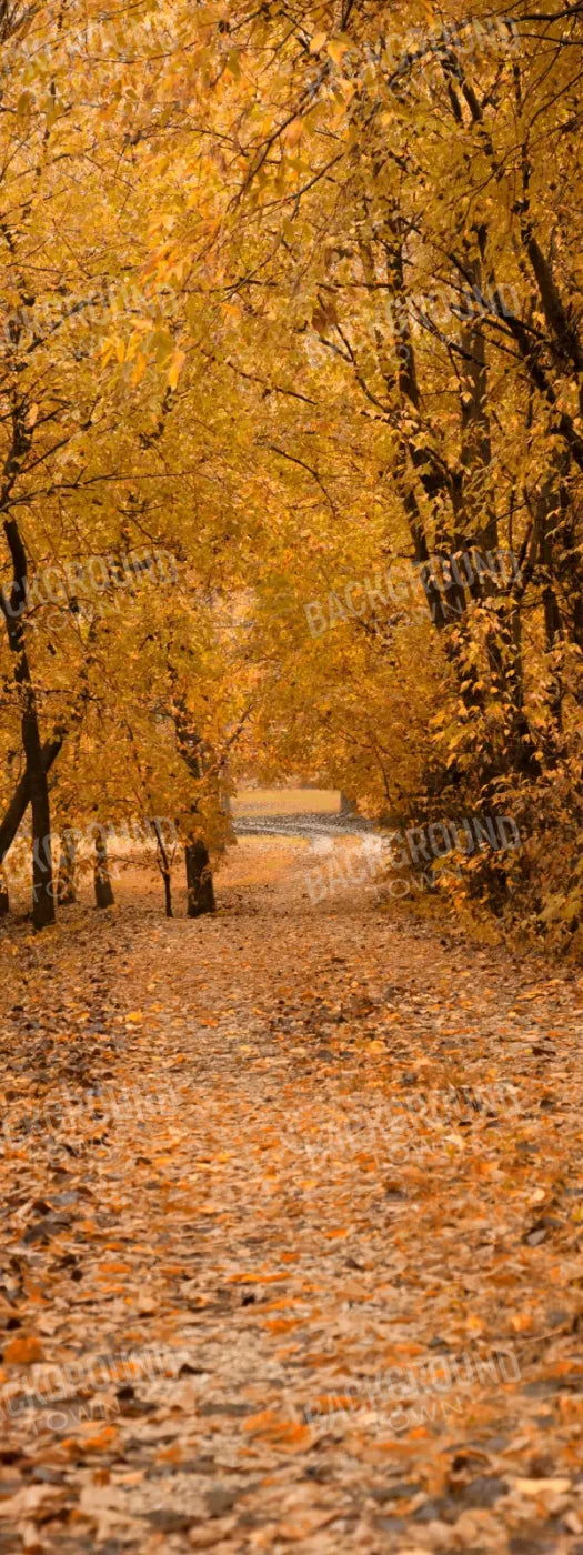 Walking In Fall 8’X20’ Ultracloth (96 X 240 Inch) Backdrop