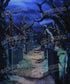 Blue Black Green  Backdrop for Photography