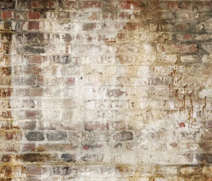 Wally 12X10 Ultracloth ( 144 X 120 Inch ) Backdrop