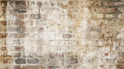 Wally 14X8 Ultracloth ( 168 X 96 Inch ) Backdrop