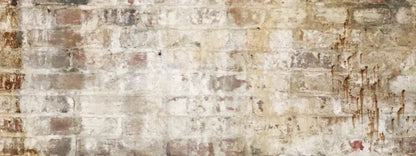 Wally 20X8 Ultracloth ( 240 X 96 Inch ) Backdrop