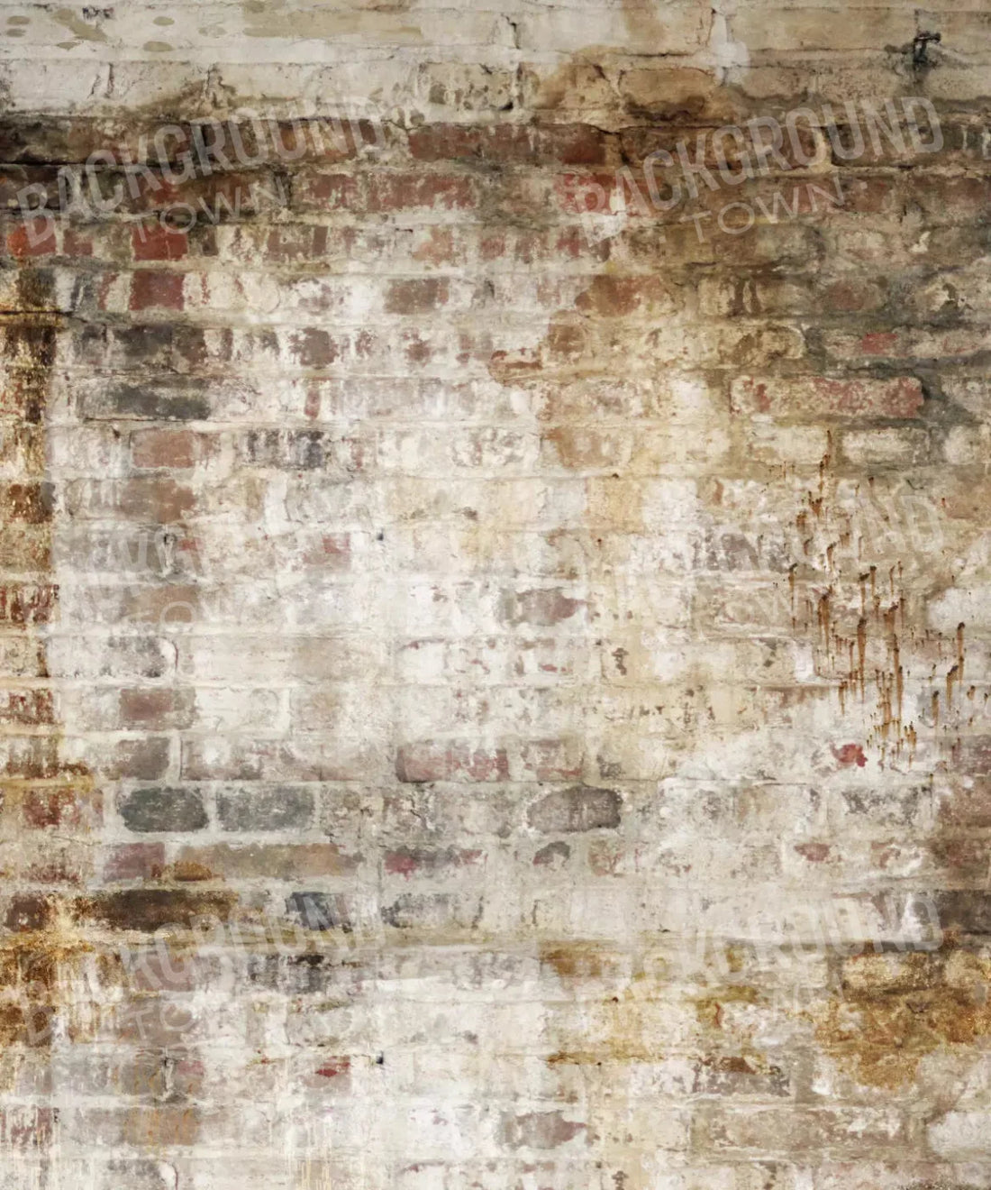 Beige Brick and Stone Backdrop for Photography