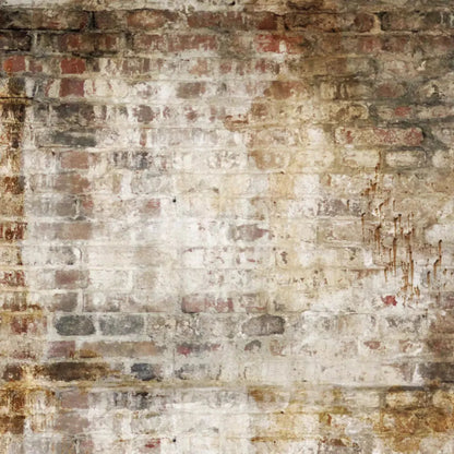 Wally 8X8 Fleece ( 96 X Inch ) Backdrop