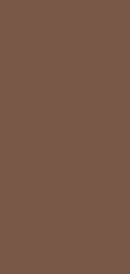 Walnut 8X16 Ultracloth ( 96 X 192 Inch ) Backdrop