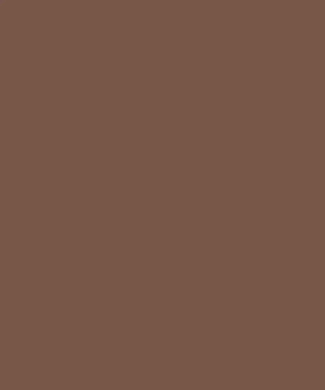 Walnut Brown Solid Color Backdrop for Photography