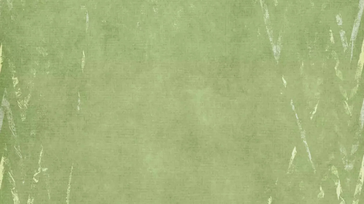 Walt 14X8 Ultracloth ( 168 X 96 Inch ) Backdrop
