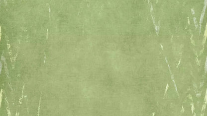 Walt 14X8 Ultracloth ( 168 X 96 Inch ) Backdrop