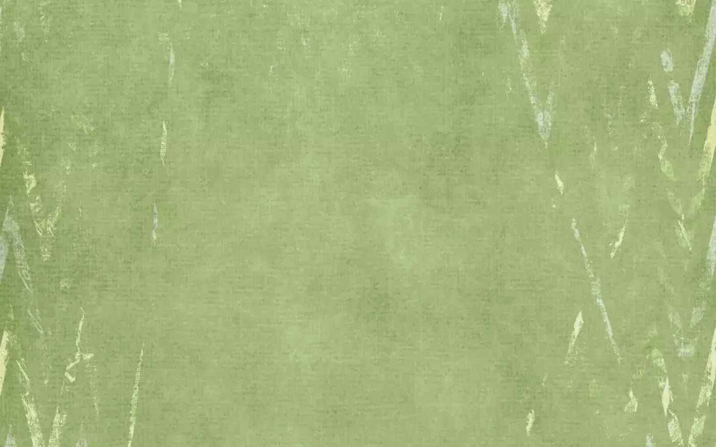 Walt 14X9 Ultracloth ( 168 X 108 Inch ) Backdrop