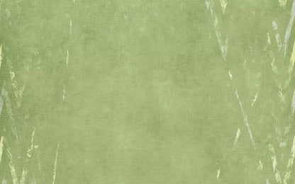 Walt 14X9 Ultracloth ( 168 X 108 Inch ) Backdrop