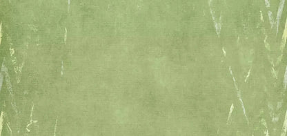 Walt 16X8 Ultracloth ( 192 X 96 Inch ) Backdrop