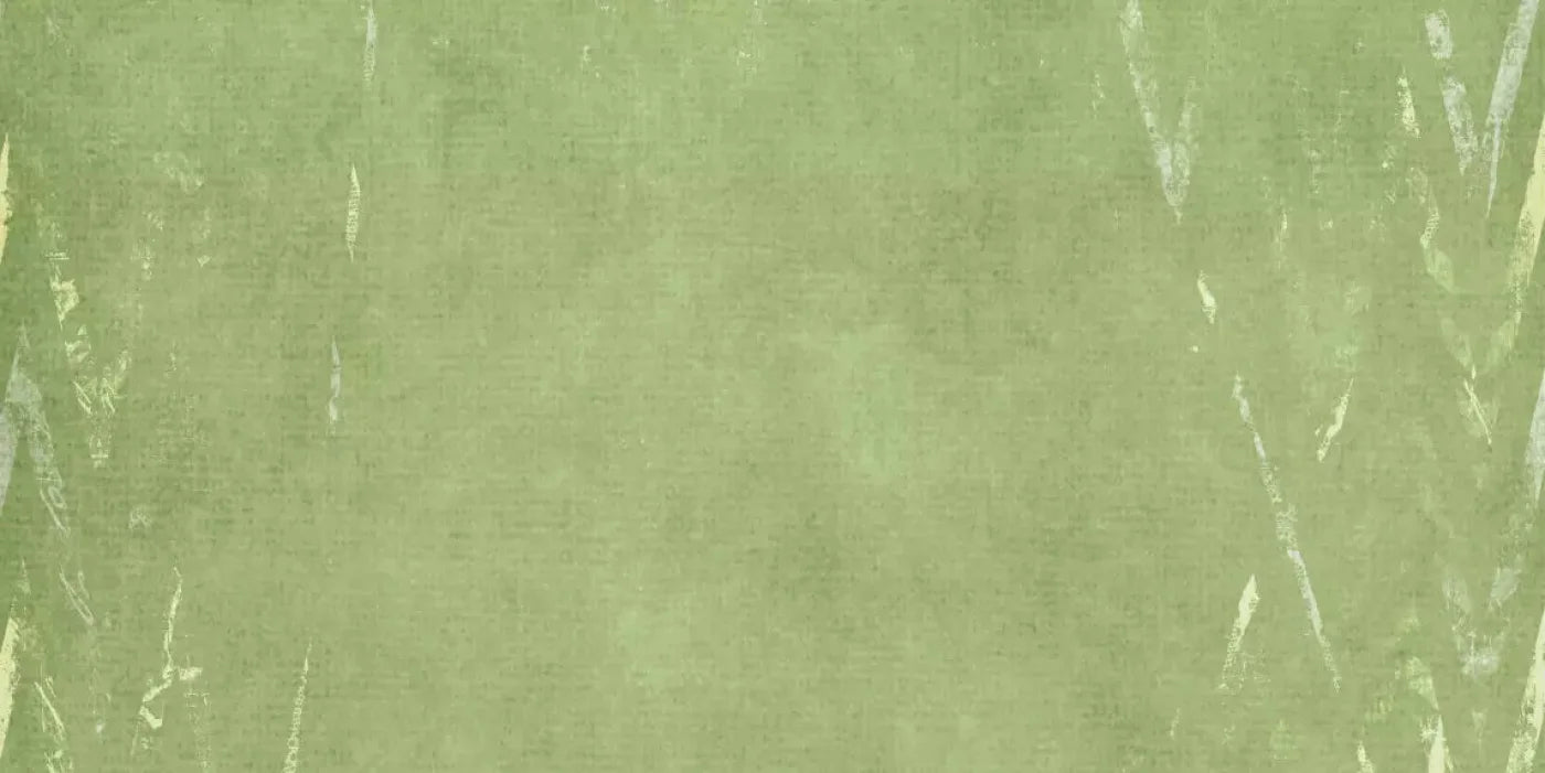 Walt 20X10 Ultracloth ( 240 X 120 Inch ) Backdrop
