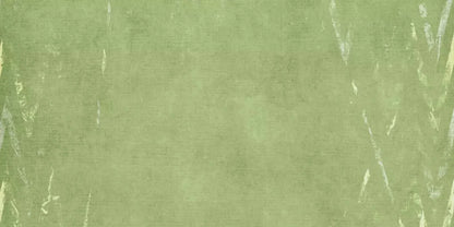 Walt 20X10 Ultracloth ( 240 X 120 Inch ) Backdrop