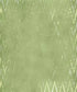 Green Pattern Backdrop for Photography